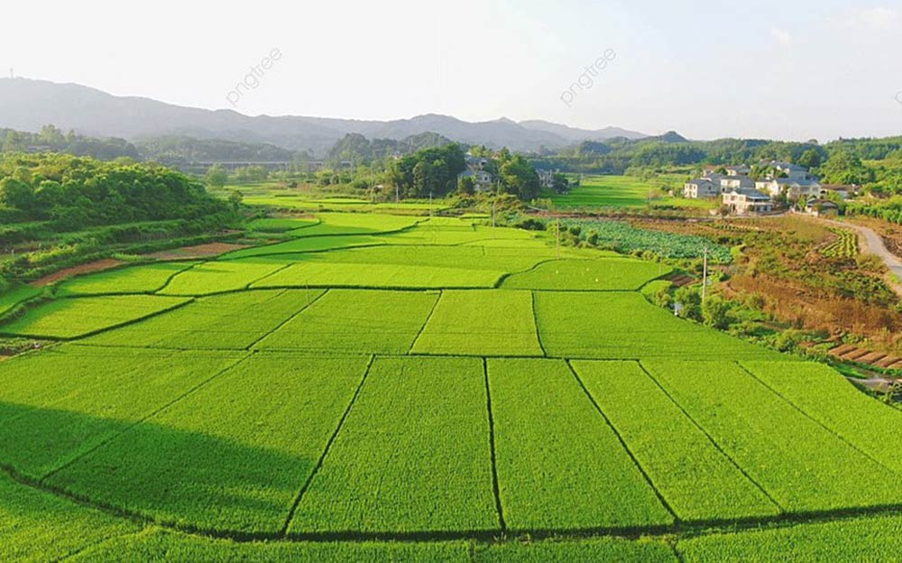 dong-loat-kien-nghi-giam-sau-tien-chuyen-doi-muc-dich-su-dung-dat