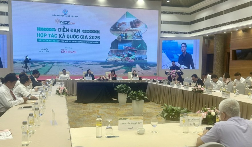 Kết nối hợp tác xã - kinh tế tư nhân: Mở đường cho hệ sinh thái nông nghiệp hiện đại