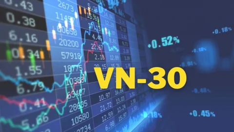 vn30-quy-i-bsr-tang-gan-2000-vingroup-lan-dau-dan-dau-doanh-thu