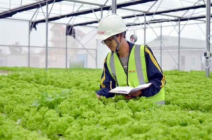 startup-xanh-viet-nam-rui-ro-dau-tu-cao-kho-tiep-can-von