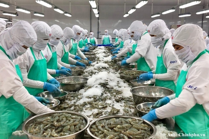 Sắp diễn ra Vietnam Seafood Summit 2026: Mở cơ hội cho xuất khẩu thủy sản