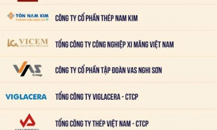 Hòa Phát là doanh nghiệp thép nộp ngân sách lớn nhất Việt Nam