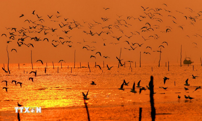 ninh-binh-dat-muc-tieu-hinh-thanh-2-3-khu-du-lich-bien-thuong-hieu-manh