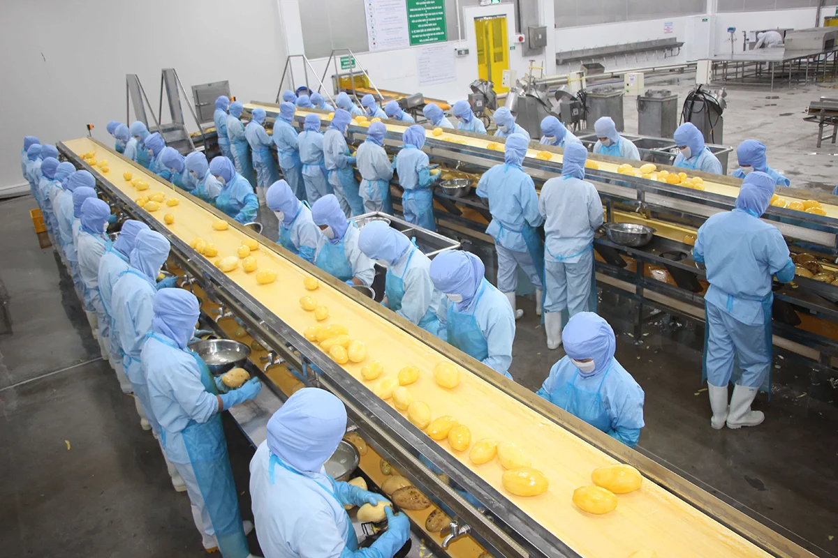 antesco-du-lai-ky-luc-muon-nang-ty-le-co-tuc