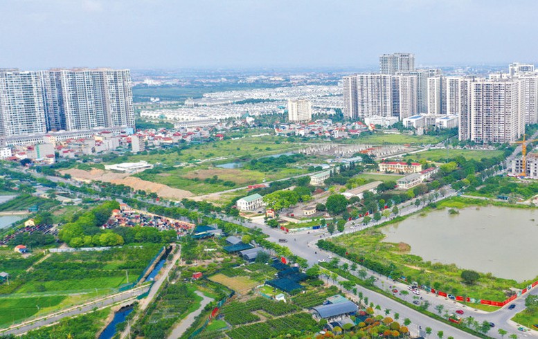 Dự án đầu tư kinh doanh nào phải tổ chức đấu thầu lựa chọn nhà đầu tư?