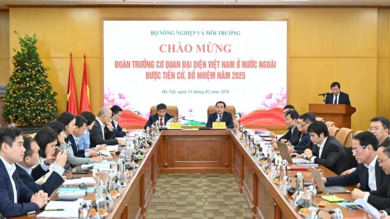 ngoai-giao-kinh-te-tao-da-cho-muc-tieu-xuat-khau-100-ty-usd