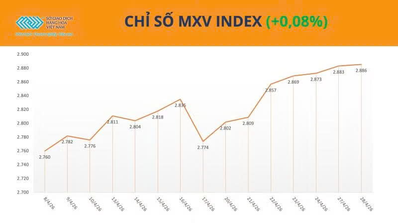 luc-mua-tiep-tuc-ap-dao-chi-so-mxv-index-sat-vung-2900-diem