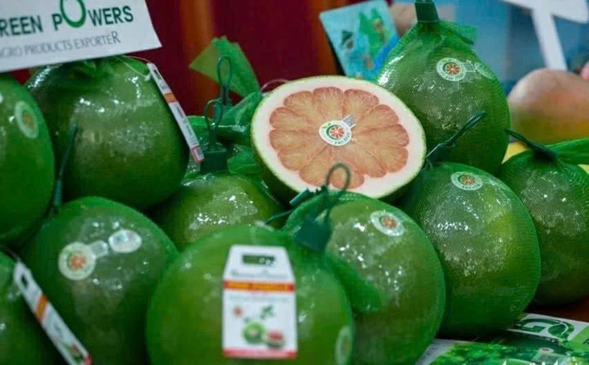 kinh-tehoi-nhap-phat-trien-buoi-da-xanh-viet-nam-lan-dau-tien-duoc-xuat-khau-chinh-ngach-sang-australia