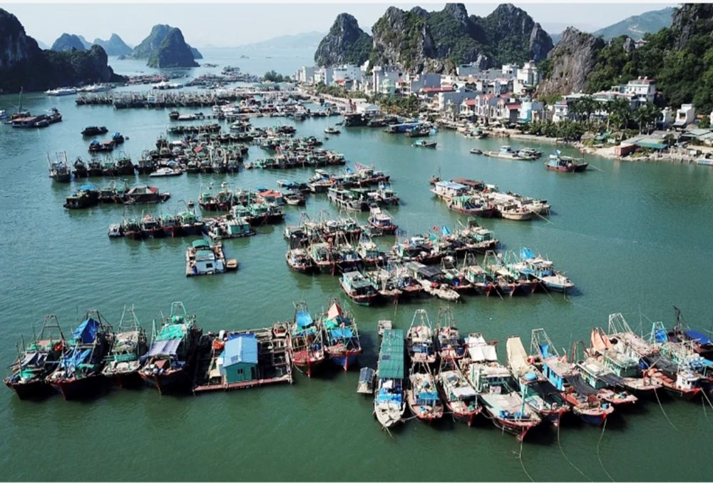 quang-ninh-mo-cang-cai-rong-phat-trien-dich-vu-hau-can-nghe-ca