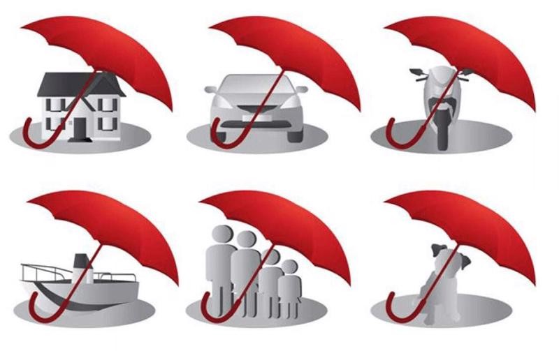 buc-tranh-kinh-doanh-bao-hiem-phi-nhan-tho-sau-khi-bao-can-quet