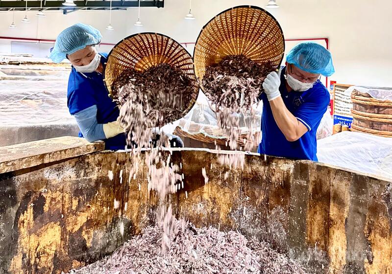 Nâng cao chất lượng, giữ vững thương hiệu OCOP Thanh Hóa