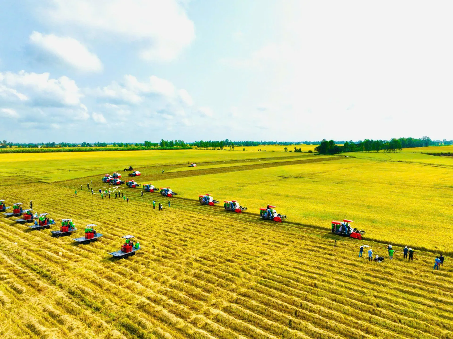 Thúc đẩy chuỗi giá trị xanh, tăng sức cạnh tranh cho nông sản