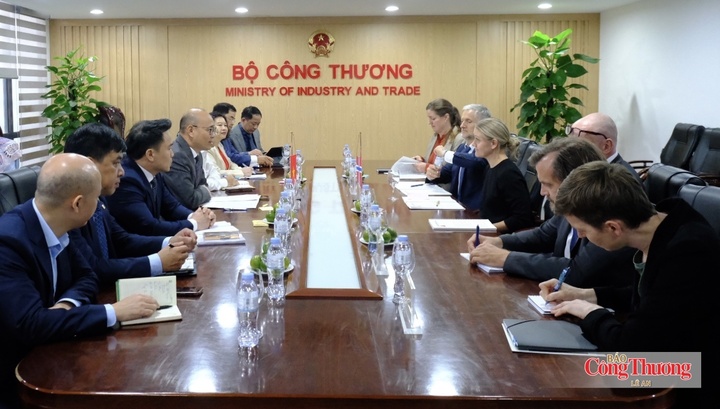 Việt Nam - Na Uy thúc đẩy hợp tác thương mại, năng lượng trên nền tảng hiệp định Việt Nam - EFTA