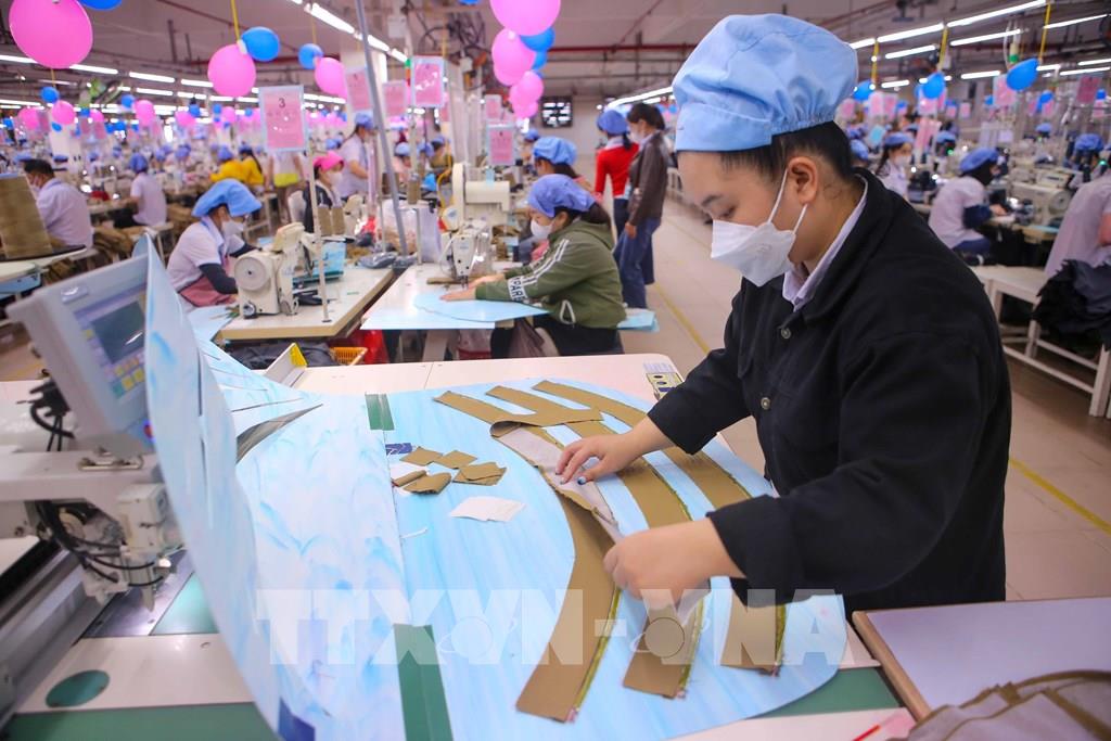 vinatex-sang-tao-dot-pha-but-toc-trong-chat-luong-tang-truong