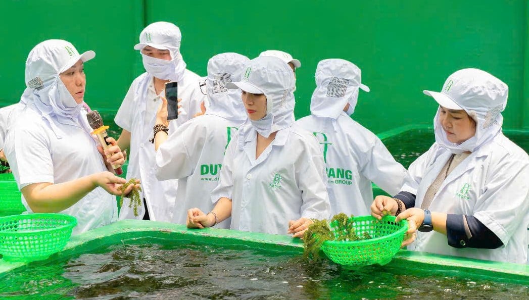 my-ap-thue-doi-ung-20-doanh-nghiep-viet-phai-lon-len-tu-ap-luc