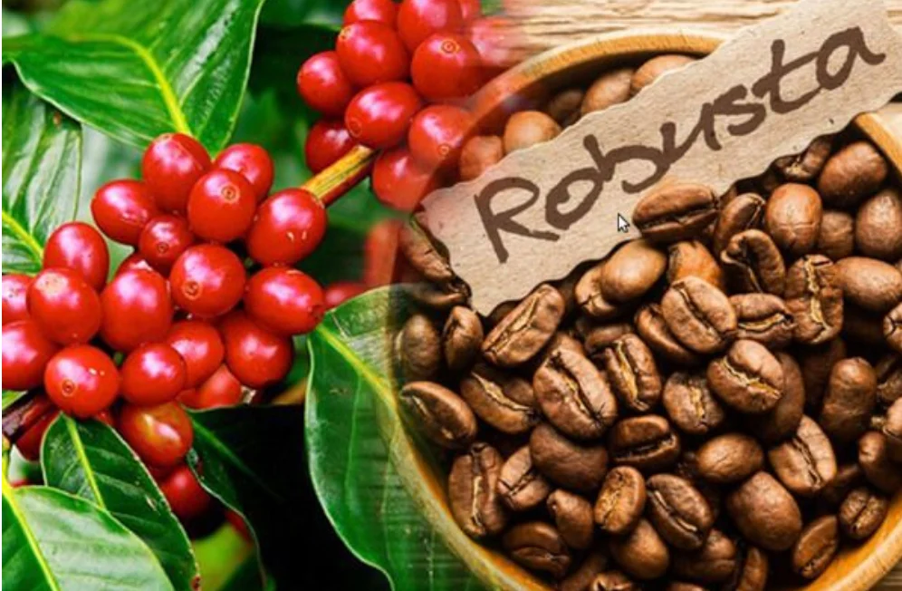 Đứng đầu ngành hàng chục tỷ USD, nông dân Việt 'điều tiết' thị trường toàn cầu