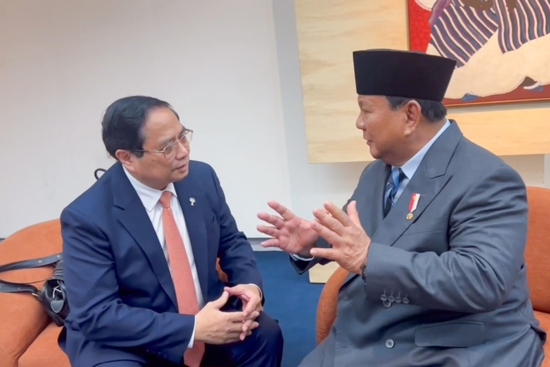 mo-rong-con-duong-gao-ra-the-gioi