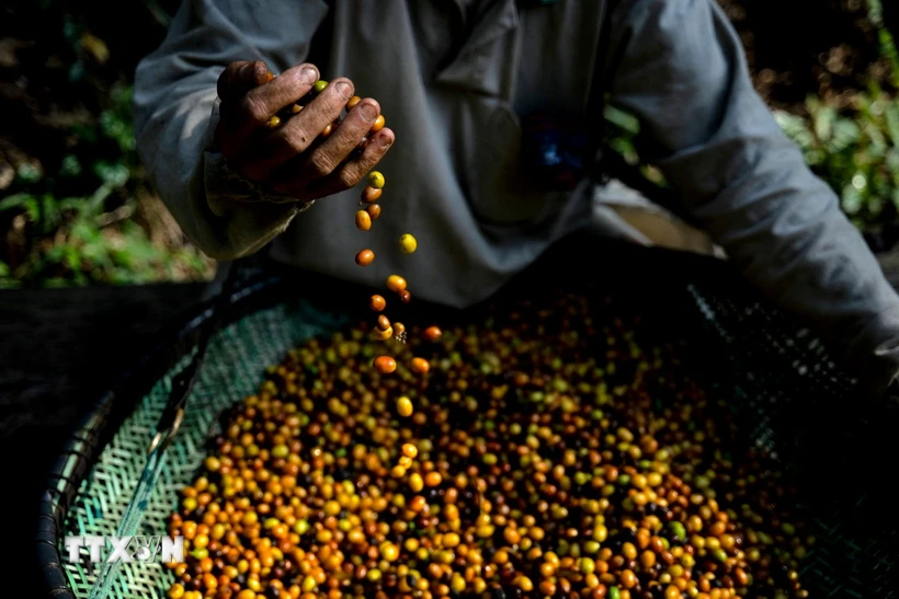 Thị trường hàng hóa nguyên liệu thế giới chấm dứt chuỗi 4 phiên tăng điểm