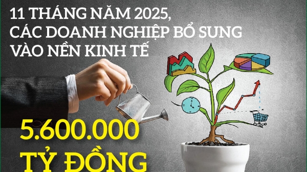 infographics-11-thang-nam-2025-cac-doanh-nghiep-bo-sung-vao-nen-kinh-te-5600000-ty-dong
