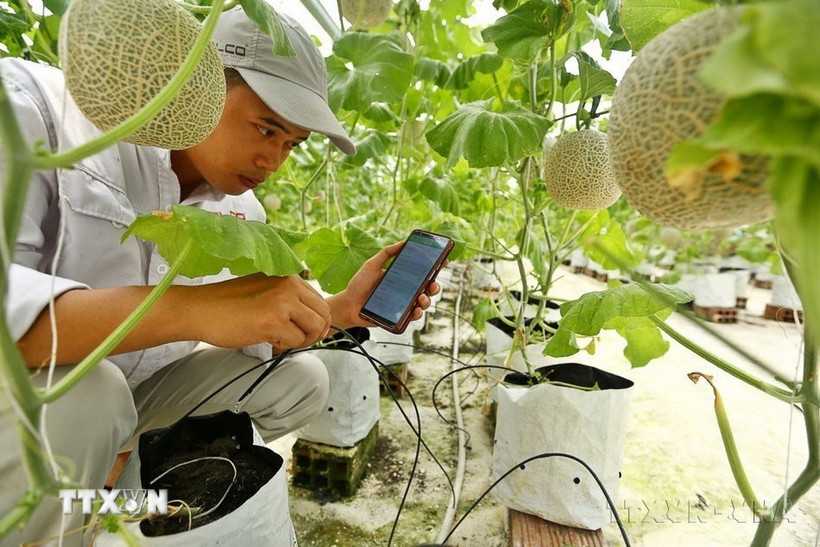 Bài cuối: Phân vùng nông nghiệp, nâng cao giá trị gia tăng