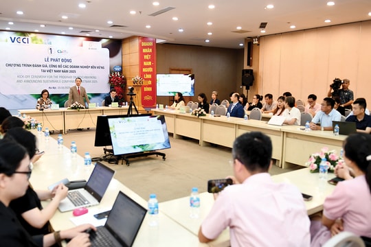 csi-boi-dap-noi-luc-doanh-nghiep-viet