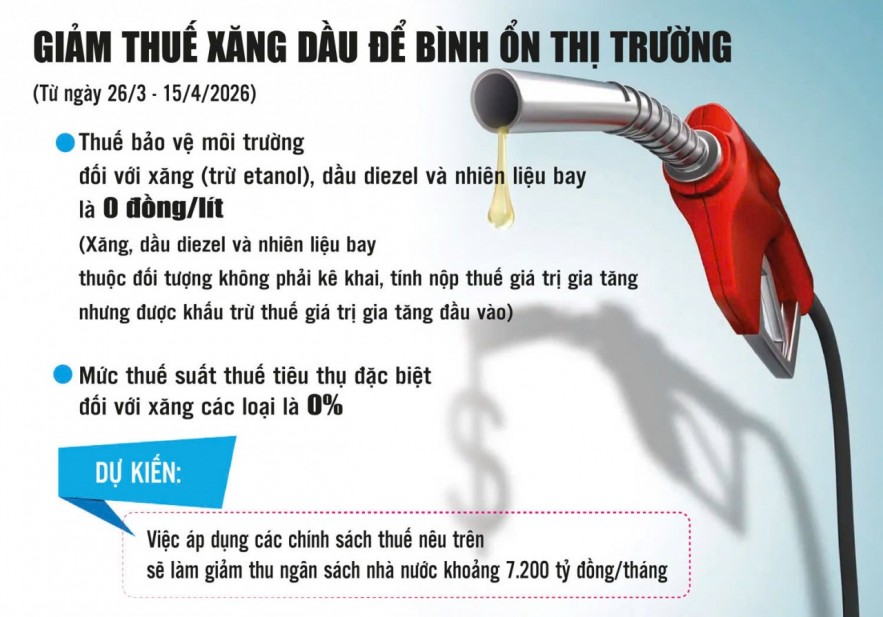 giam-thue-giai-phap-kip-thoi-binh-on-gia-xang-dau-trong-nuoc