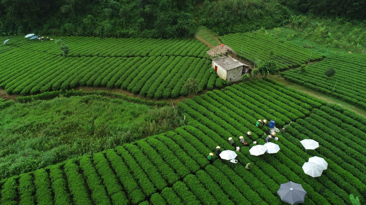 doanh-nghiep-nho-truoc-yeu-cau-xuat-xu-khi-vao-thi-truong-eu