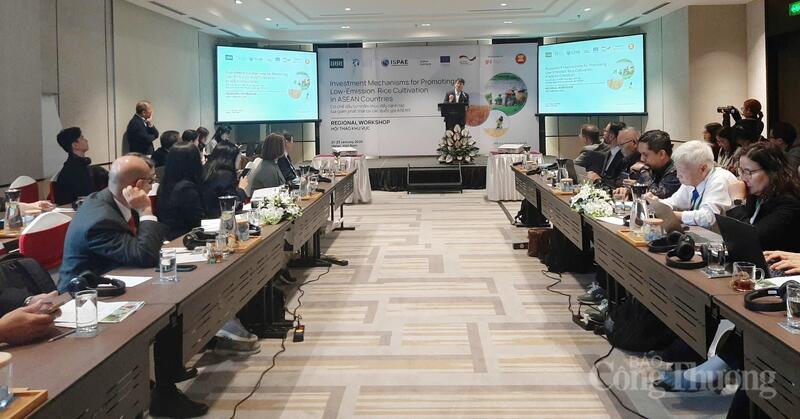 gao-phat-thai-thap-mo-du-dia-moi-cho-thuong-hieu-gao-viet