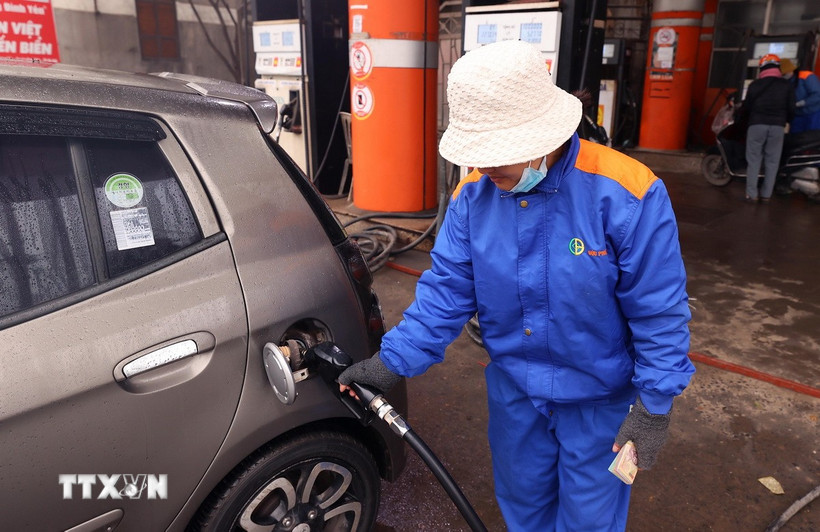 thi-truong-nang-luong-chim-trong-sac-do