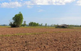 Cách xác định thời điểm sử dụng đất