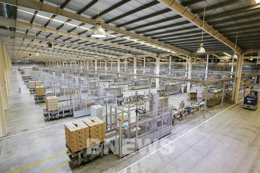 Lựa chọn hướng đi tương lai của doanh nghiệp Việt