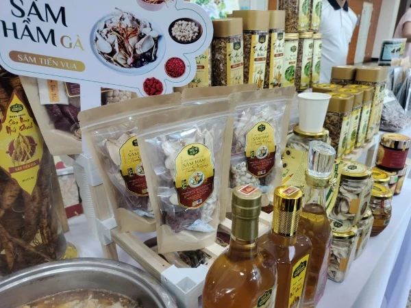 doanh-nghiep-khong-thieu-cong-nghe-chi-thieu-giai-phap-phu-hop