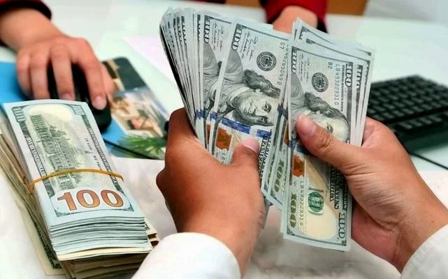 Ngân hàng Nhà nước cảnh báo tình trạng ngoại tệ giả