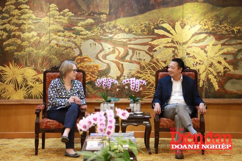 vcci-va-giz-tang-cuong-hop-tac-thuc-day-phat-trien-ben-vung-tai-viet-nam