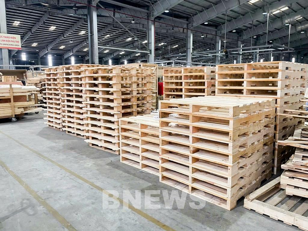 cong-ty-dong-goi-va-thao-kien-thilogi-cung-ung-da-dang-san-pham-pallet-go