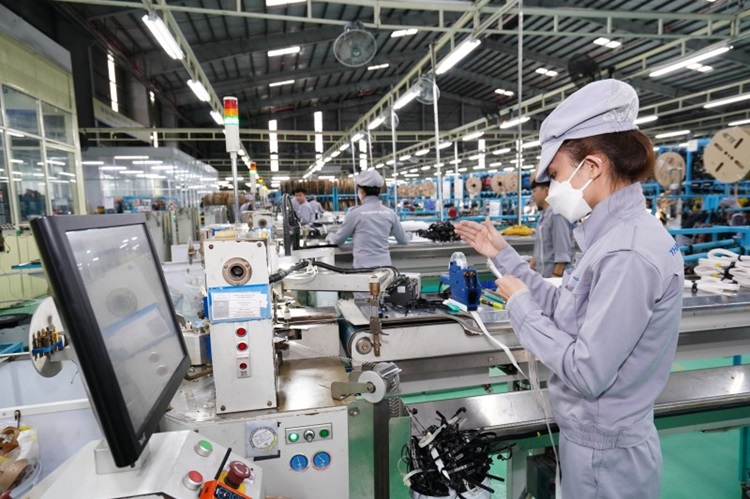 Đoàn doanh nghiệp Việt xúc tiến thương mại tại Busan, Hàn Quốc