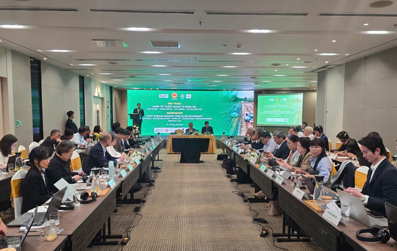 kinh-te-tuan-hoan-tu-rom-ra-mo-loi-cho-nong-nghiep-phat-thai-thap