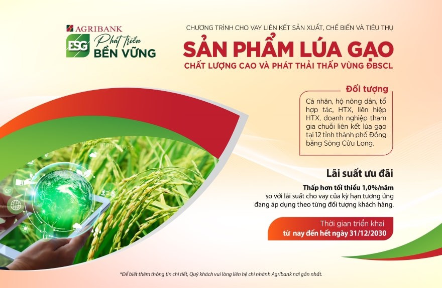 agribank-cho-vay-lien-ket-san-xuat-tieu-thu-san-pham-lua-gao-chat-luong-cao