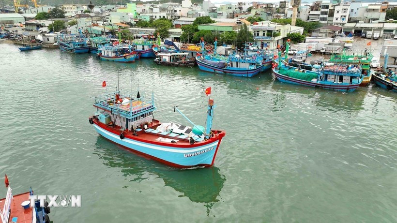 quyet-go-the-vang-iuu-trong-nam-2025-ca-nuoc-dang-buoc-vao-giai-doan-then-chot