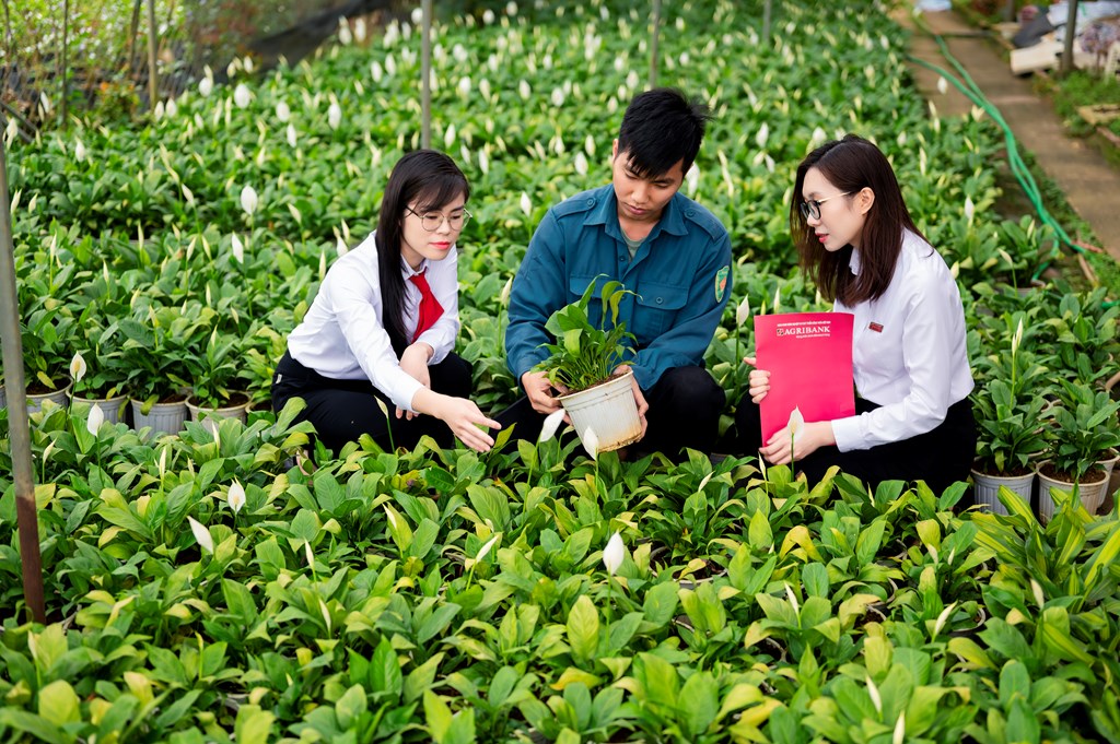 dau-an-agribank-top-10-ngan-hang-esg-viet-nam-2026
