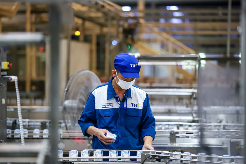 TH true MILK vào Top "Nhãn hiệu nổi tiếng Việt Nam 2026"