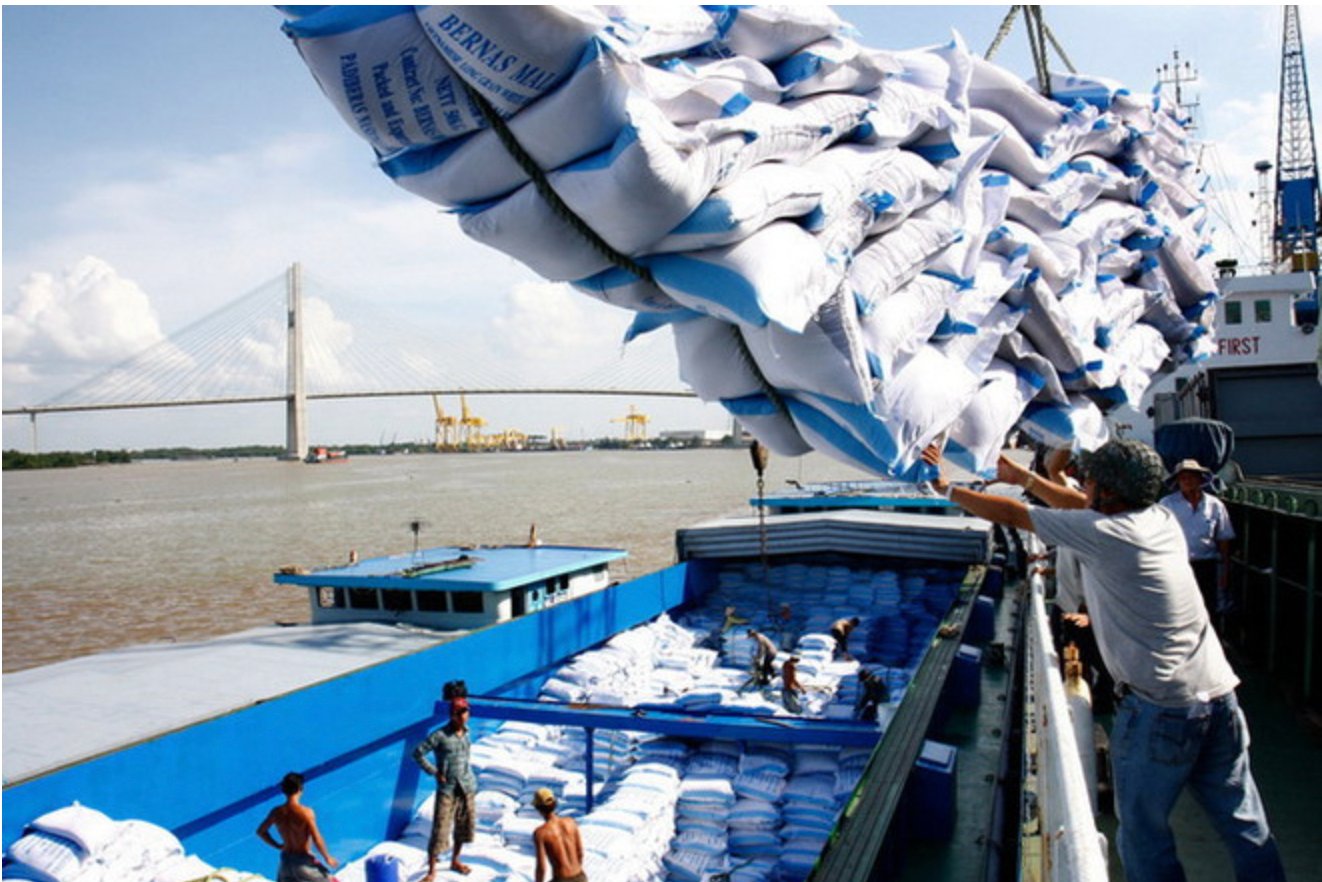 Philippines hoãn nhập gạo đến hết 2025, DN Việt gồng mình giữ giá