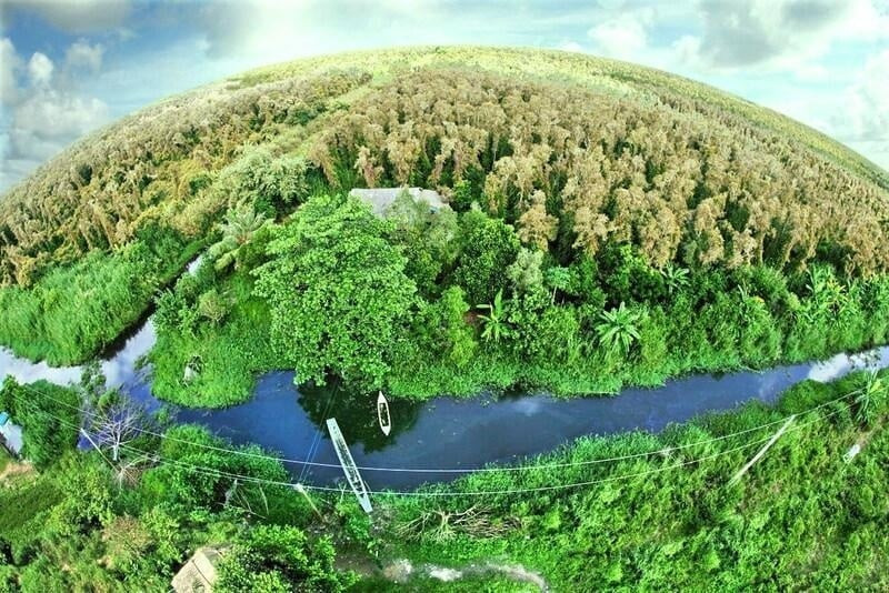 Thị trường carbon: Cơ hội lớn để Việt Nam “mở rộng cánh cửa” phát triển xanh