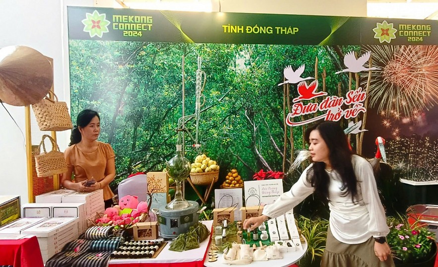 Đồng Tháp: Xử lý hồ sơ công việc theo tiến độ “1 – 3 – 5” để phát triển kinh tế