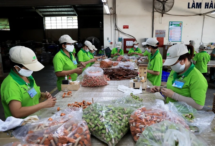 thanh-pho-ho-chi-minh-cai-noi-khoi-nghiep-kinh-doanh