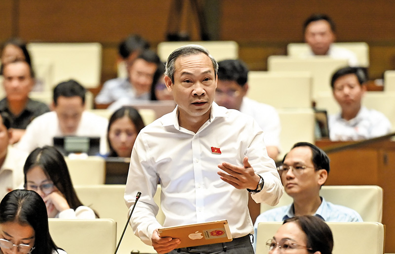 2-Phan đức hiếu - thái bình.jpg