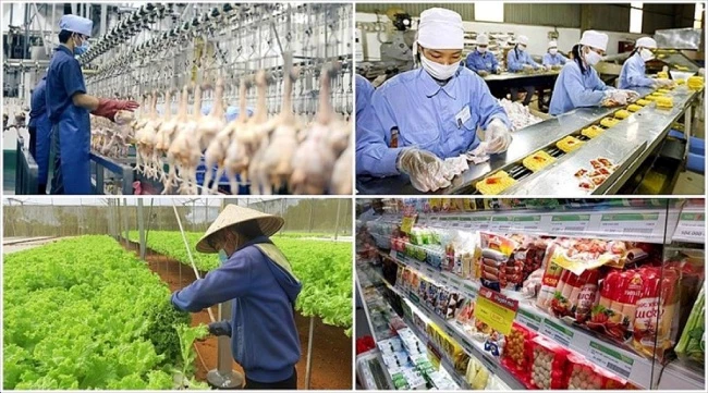 vasep-du-thao-quy-dinh-ve-an-toan-thuc-pham-phat-sinh-diem-nghen-gay-kho-cho-doanh-nghiep