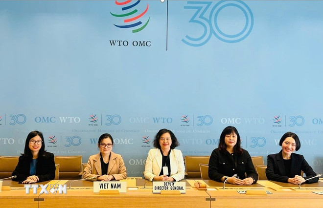 su-khac-nhau-giua-xuat-xu-hang-hoa-va-khai-niem-made-in-viet-nam