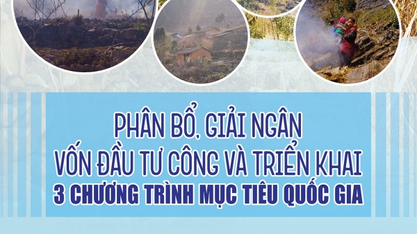 infographics-da-phan-bo-hon-93-ke-hoach-von-dau-tu-cong