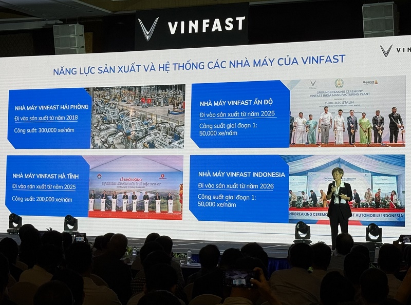 vin2.jpg
